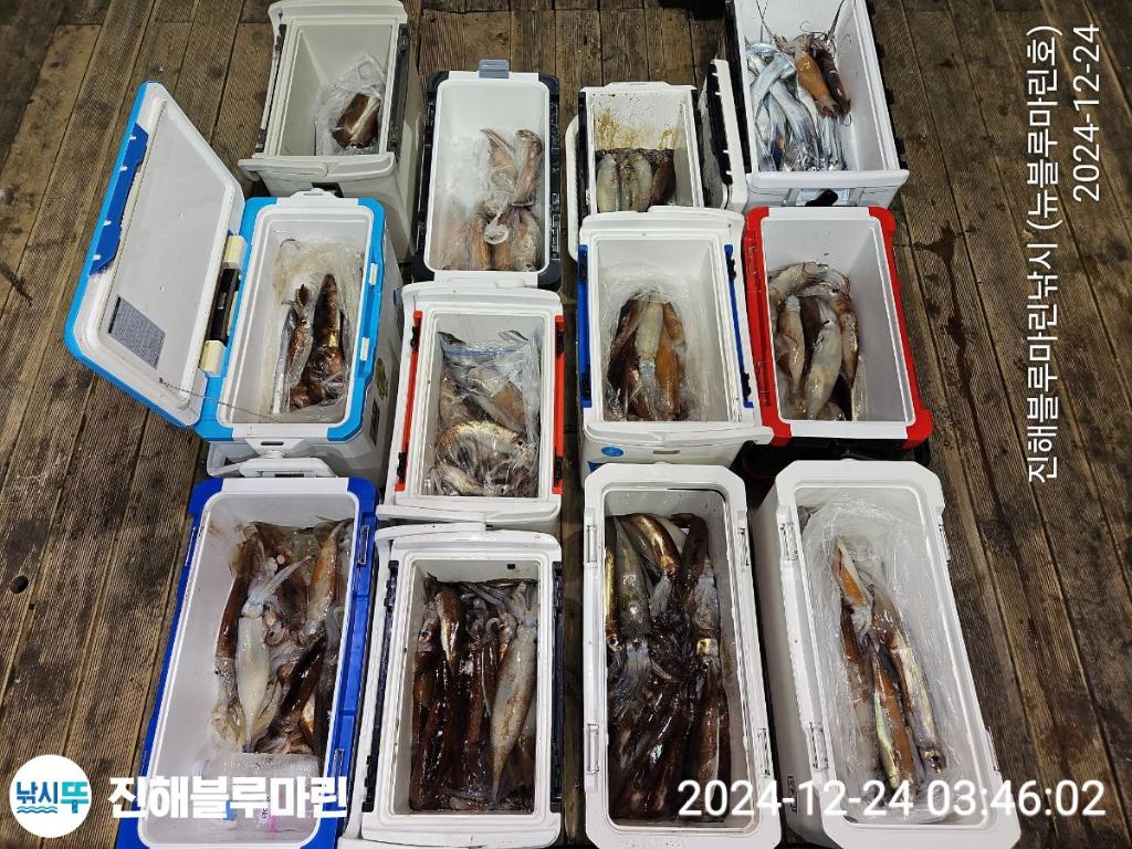 F2600858Y3.jpg
