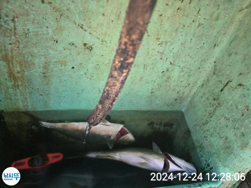 F2601121UN.jpg