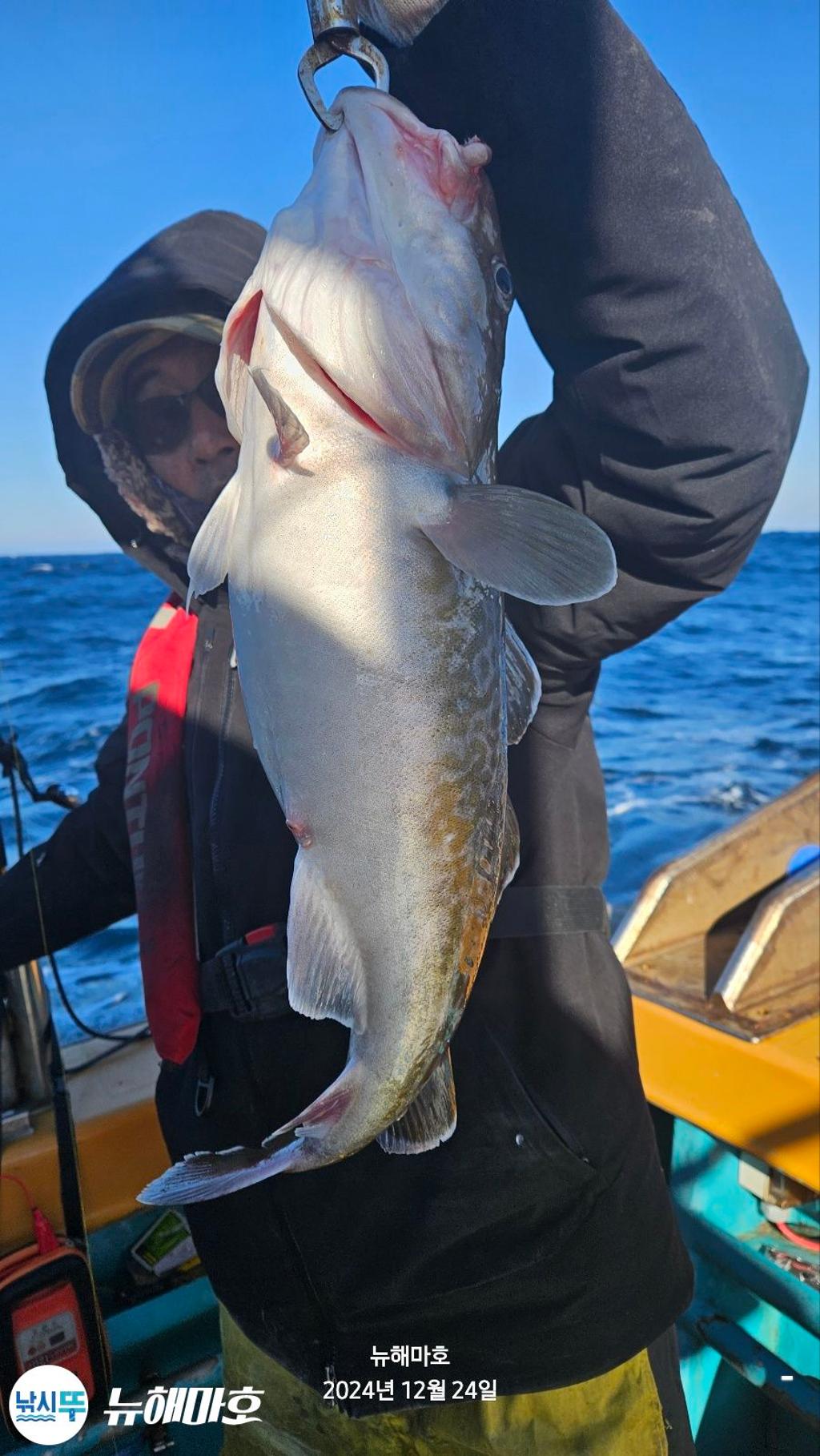 F26013758R.jpg