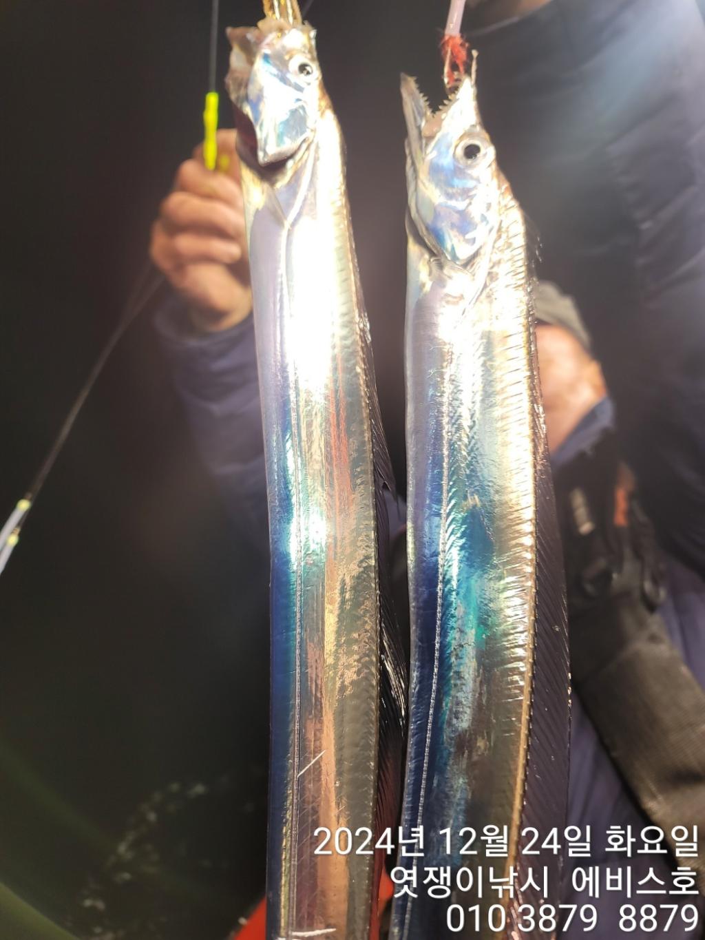 F2601562TM.jpg