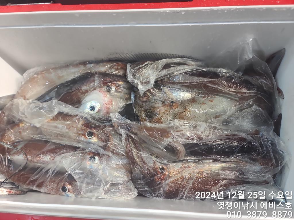 F2601570Y7.jpg