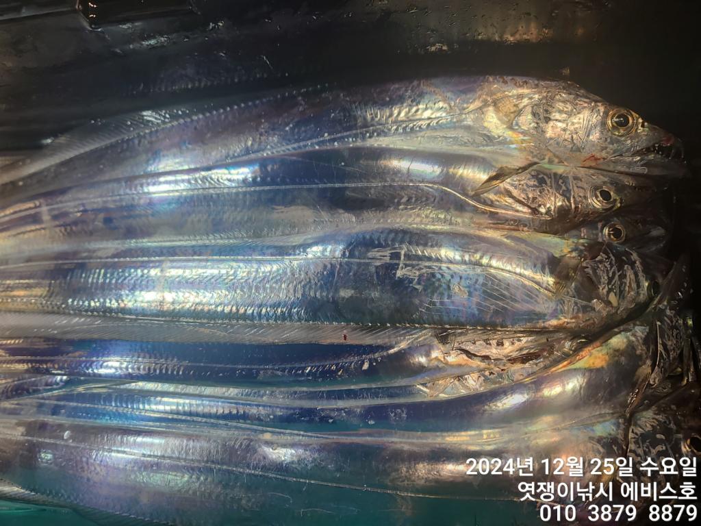 F26015718U.jpg