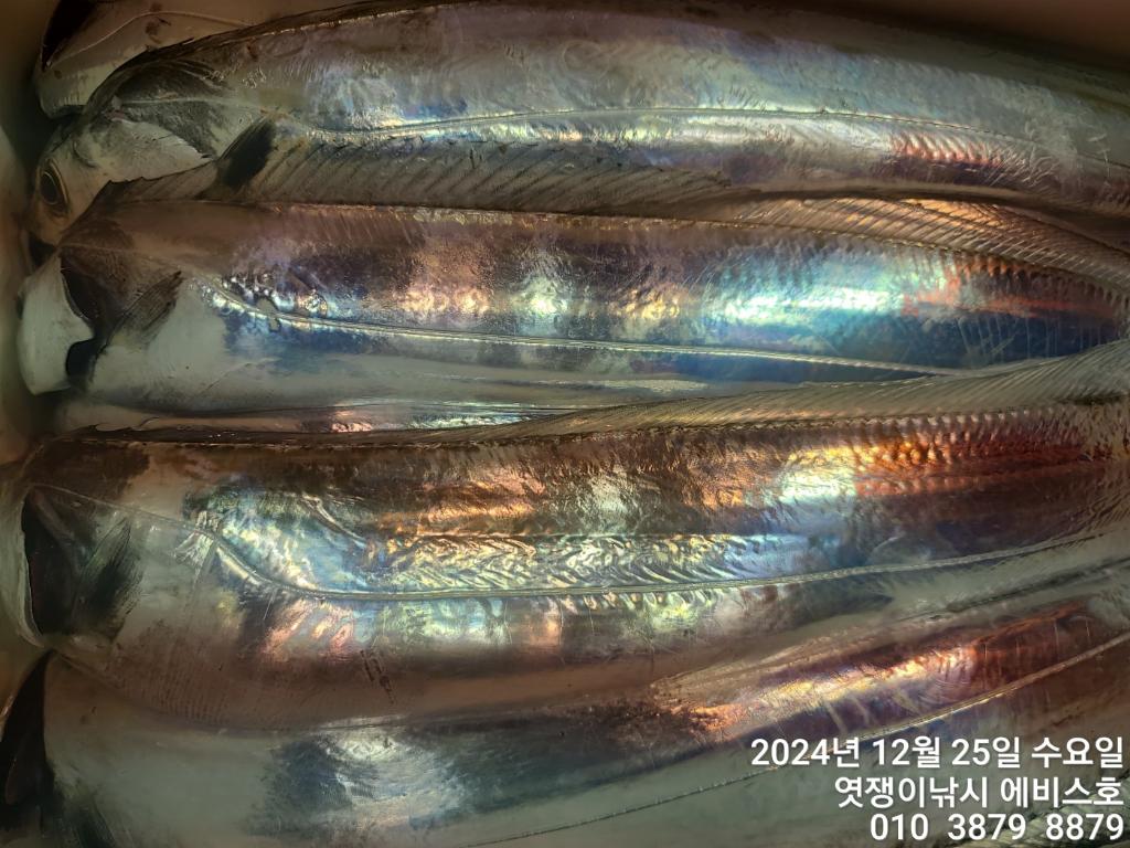 F2601573GF.jpg