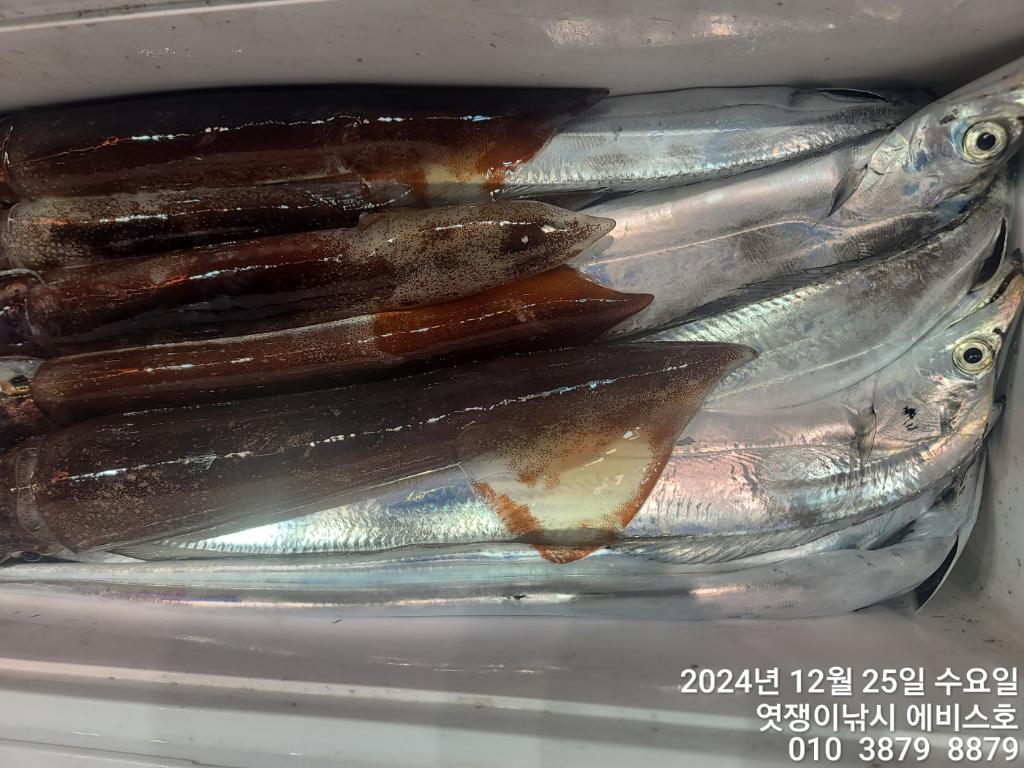 F2601576RS.jpg