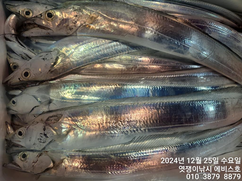 F2601585JR.jpg