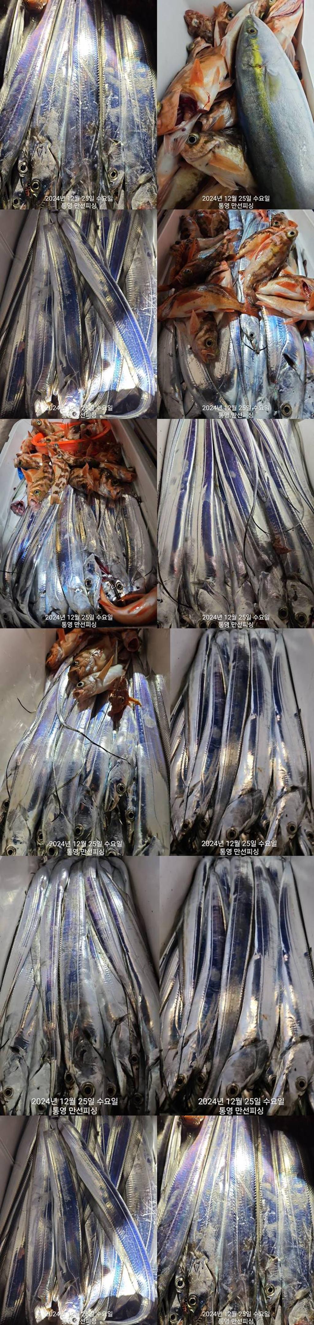 F2601698CB.jpg