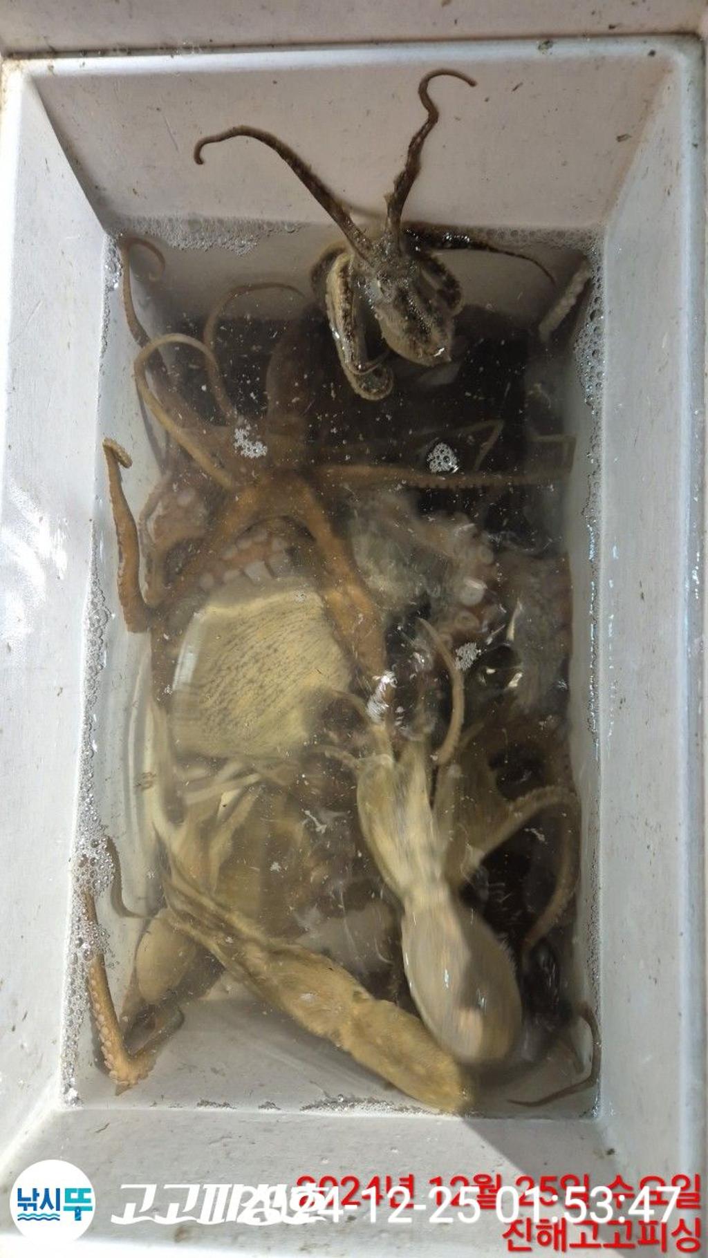 F2601869GN.jpg