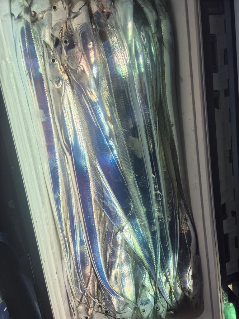 F2602803DW.jpg