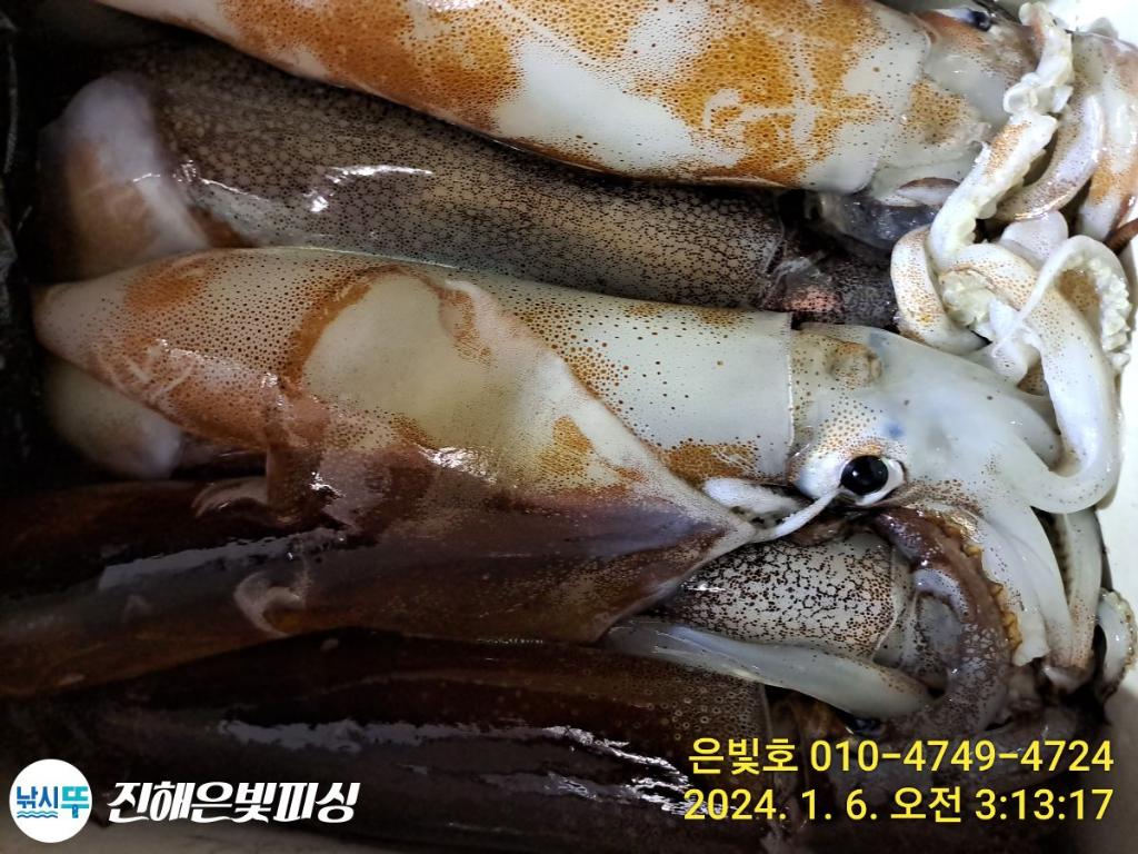 F26032564F.jpg