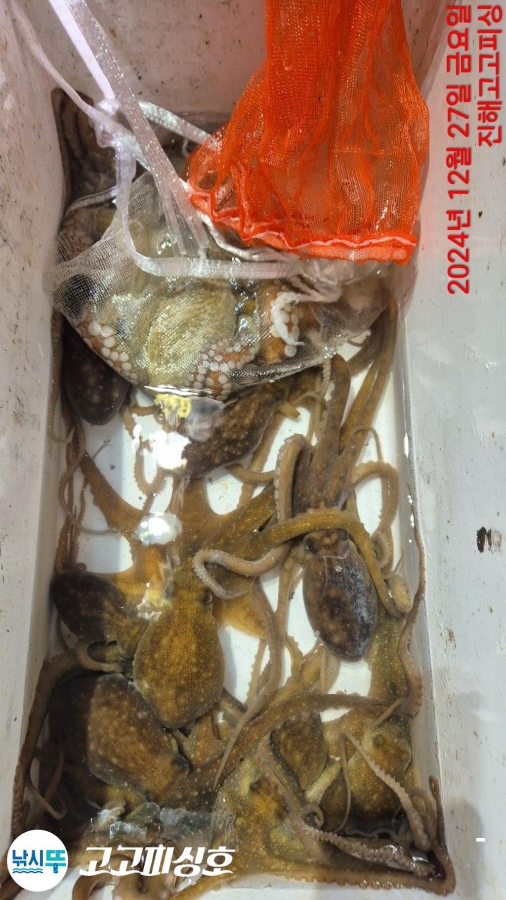 F2603322WA.jpg