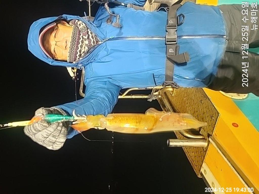 F2603476DV.jpg