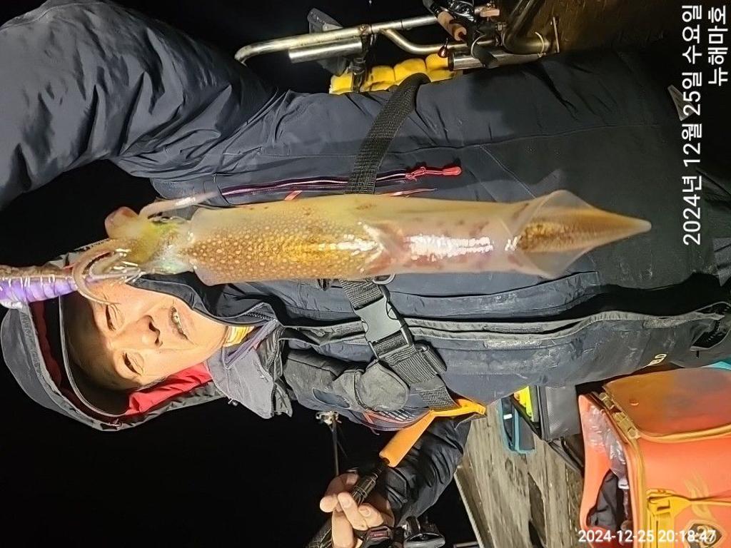 F2603477SJ.jpg
