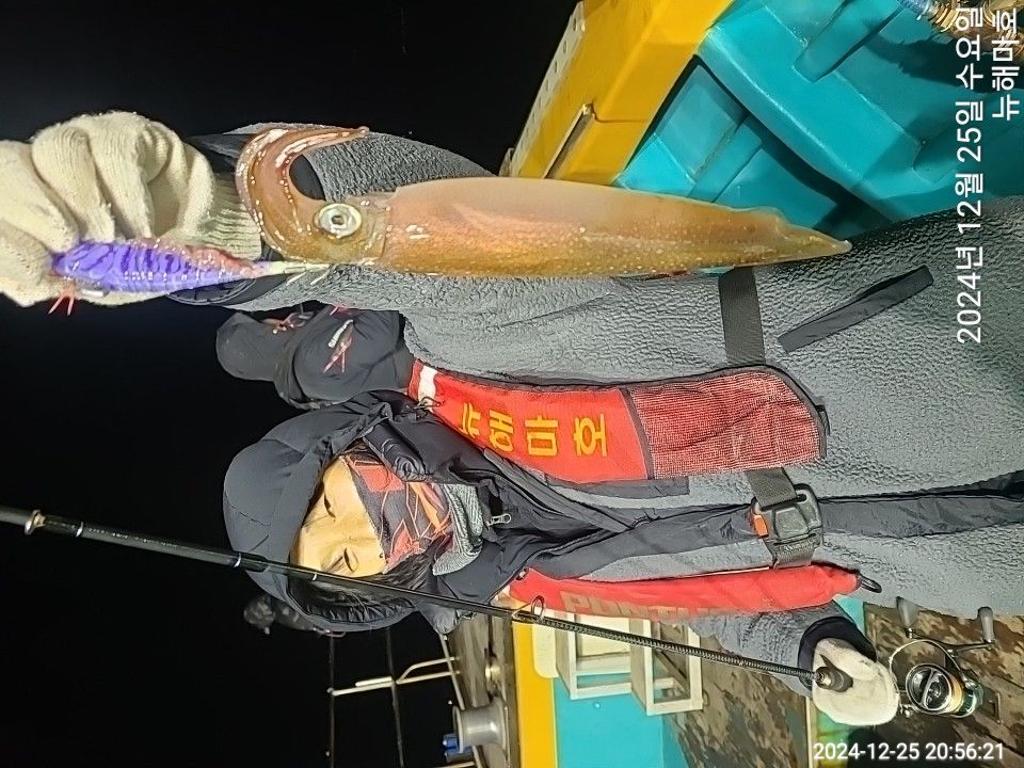 F2603478FL.jpg