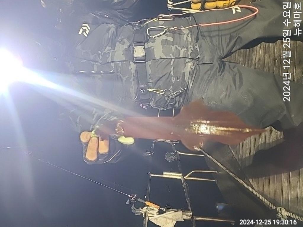 F2603479P0.jpg