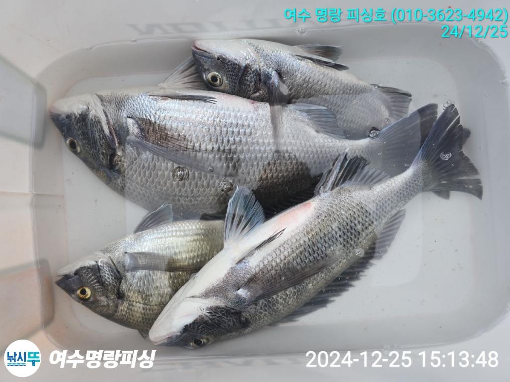 F2603844AJ.jpg