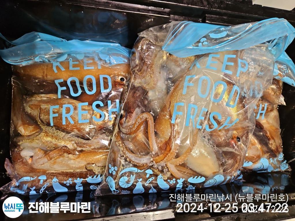 F26039483E.jpg