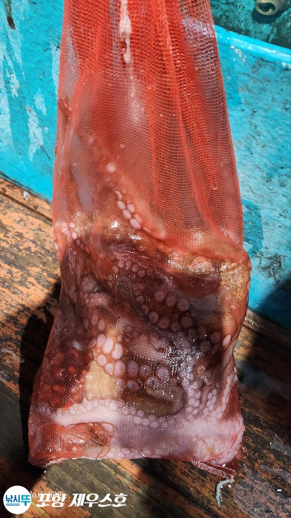 F26043211O.jpg