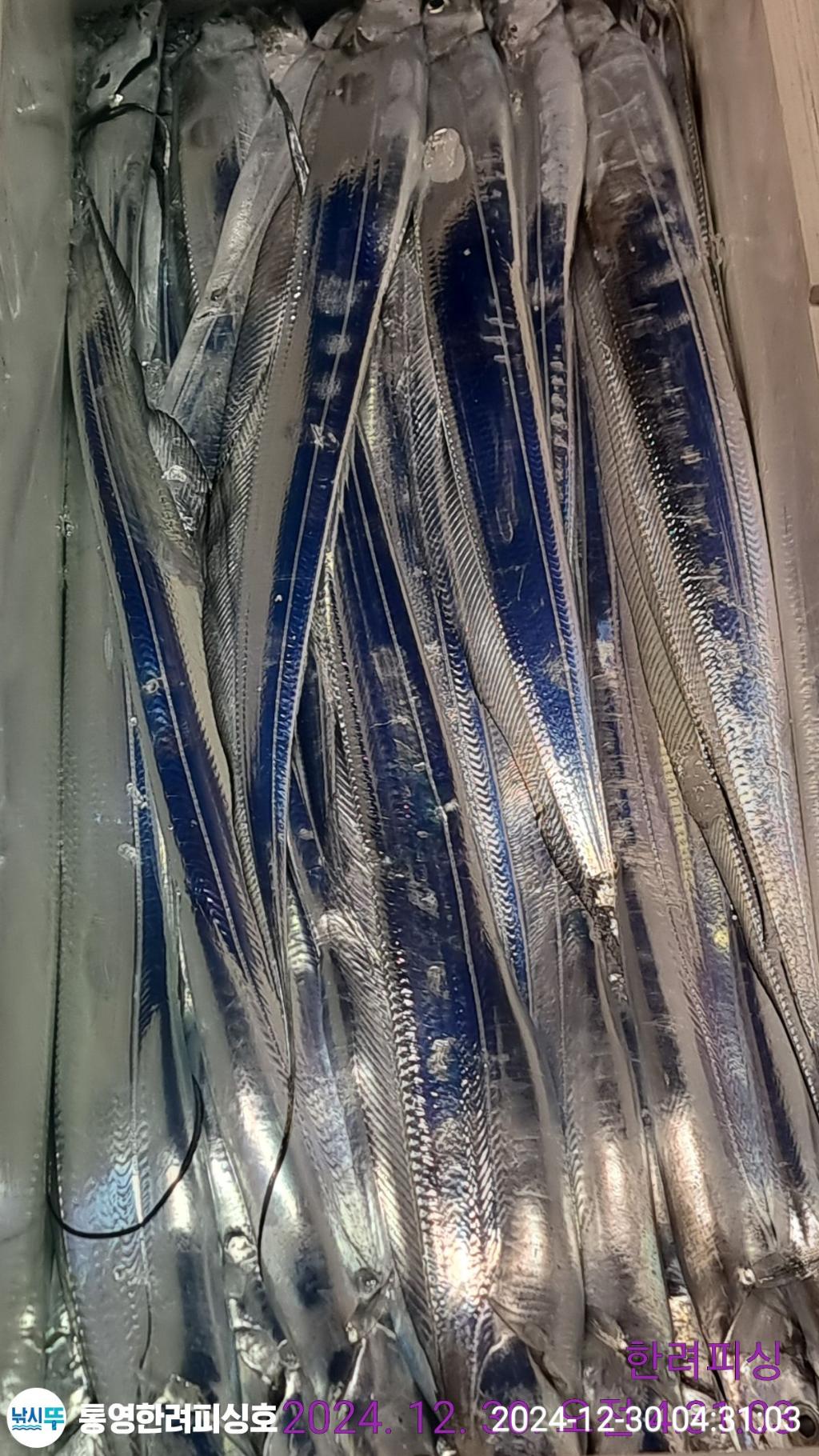 F2605063J8.jpg