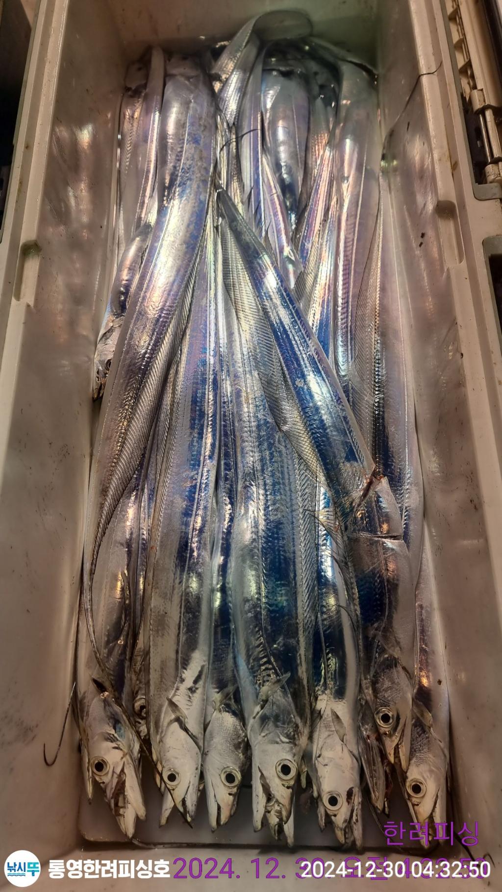 F260506691.jpg