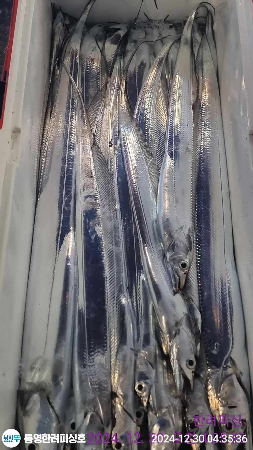 F26050710U.jpg
