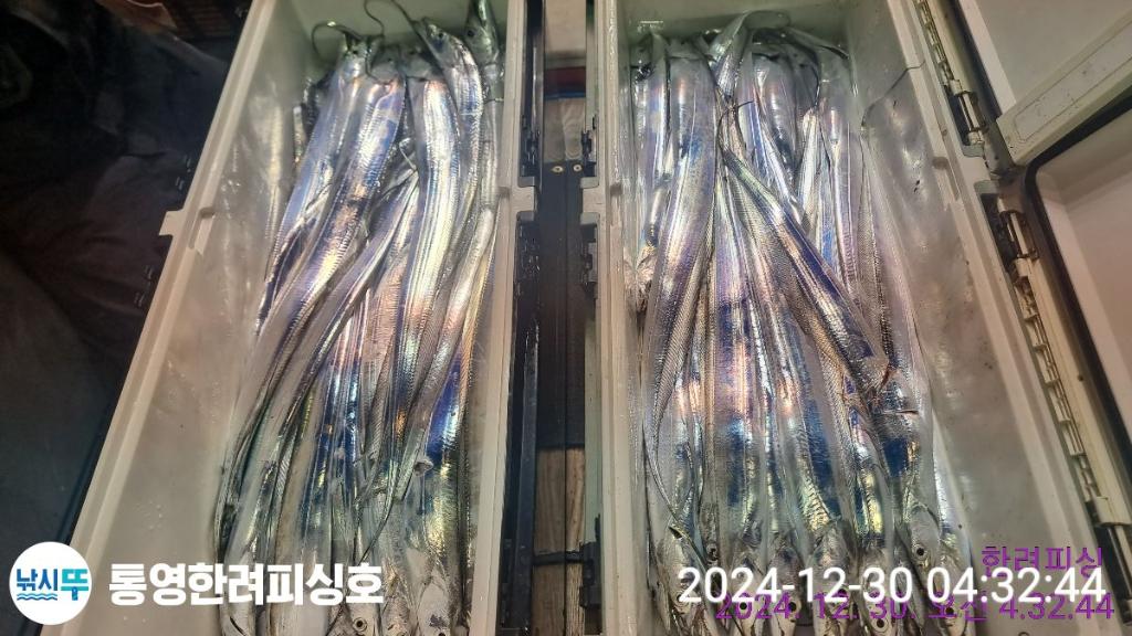 F26050761X.jpg