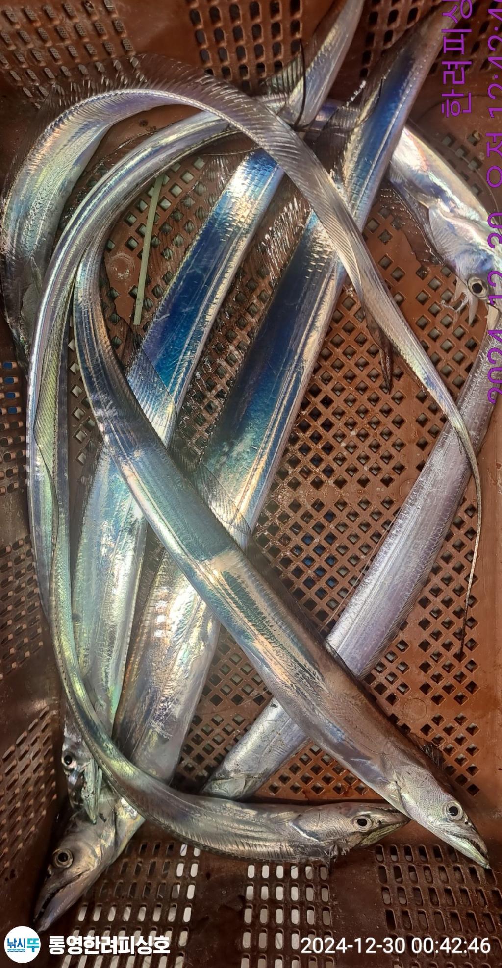 F2605077CZ.jpg
