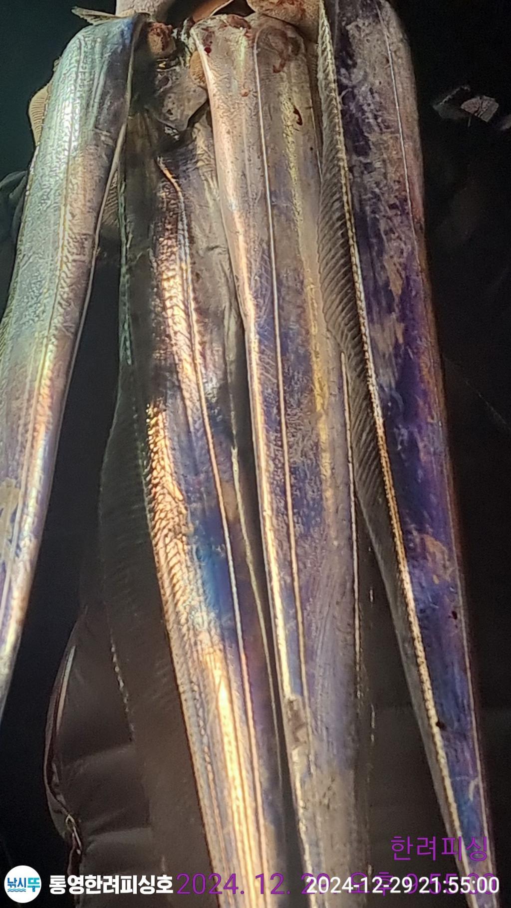 F2605081ZK.jpg