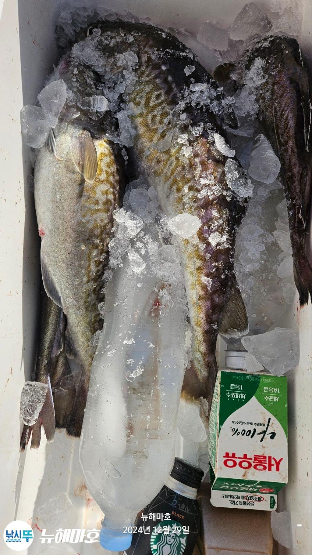 F2605090LN.jpg