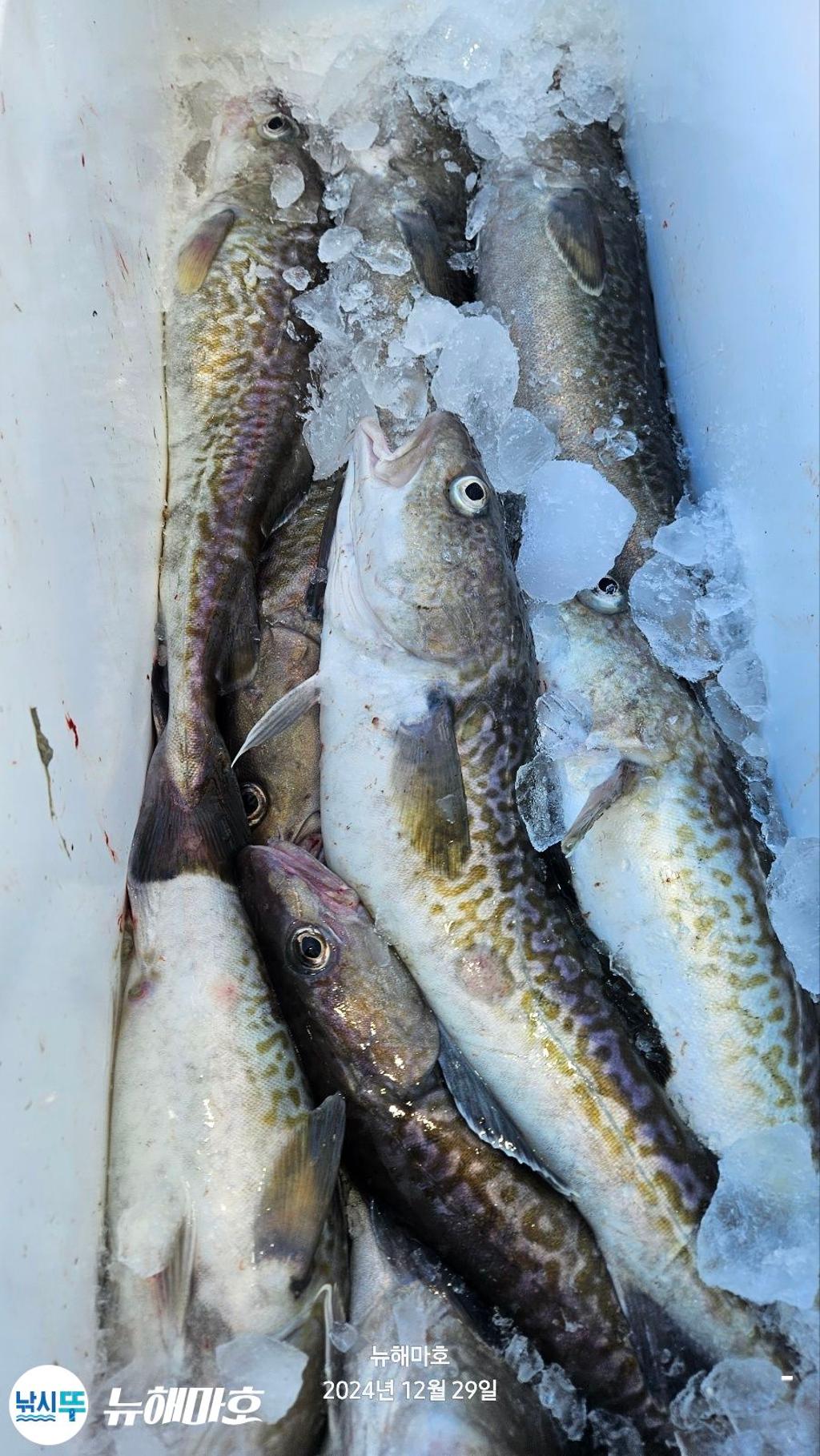 F2605092BS.jpg