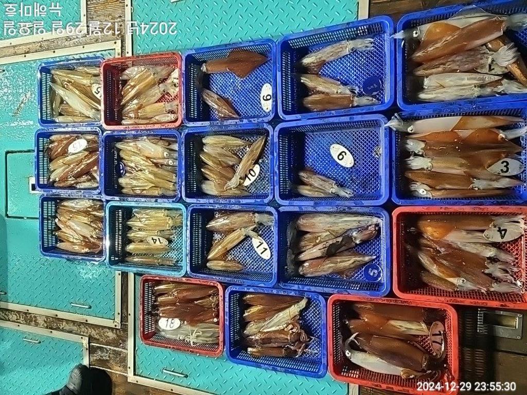 F2605123HT.jpg