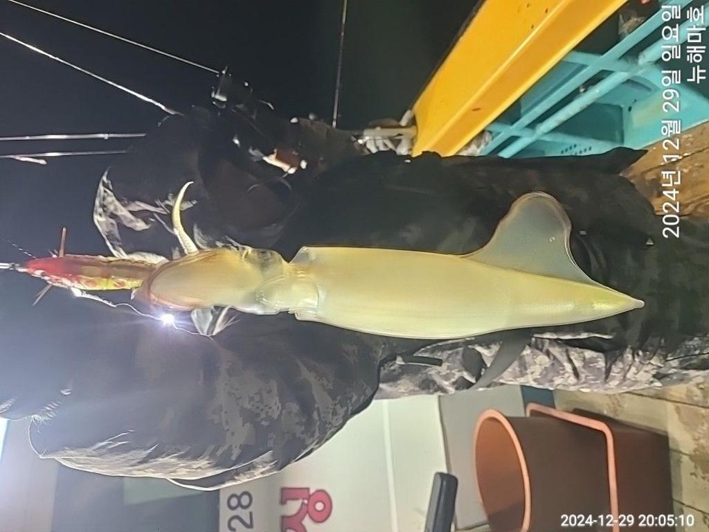 F2605133E7.jpg