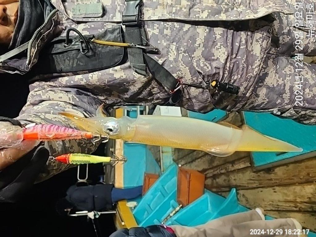 F2605138AP.jpg