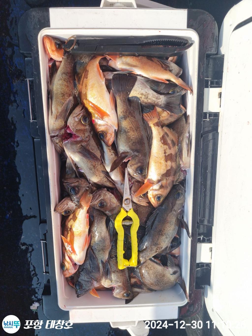 F2605799QB.jpg