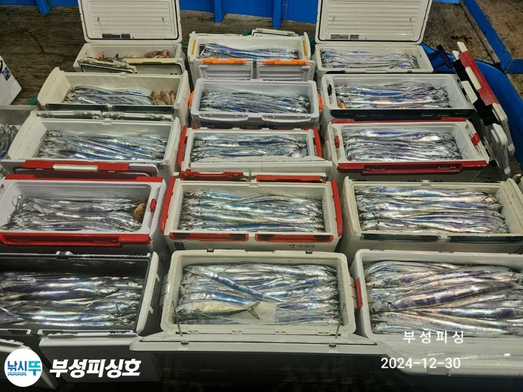 F2605143JI.jpg