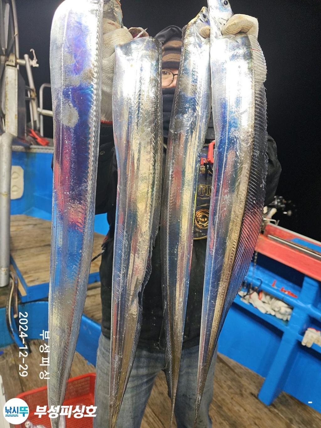F2605157YI.jpg