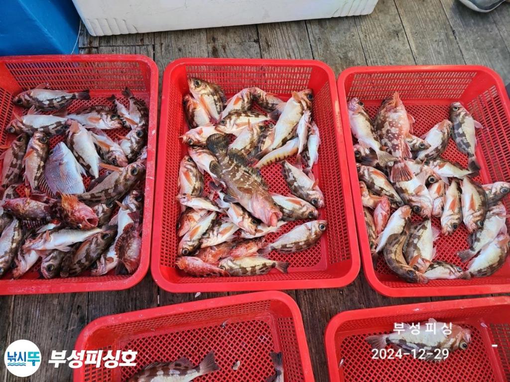 F2605172Y3.jpg