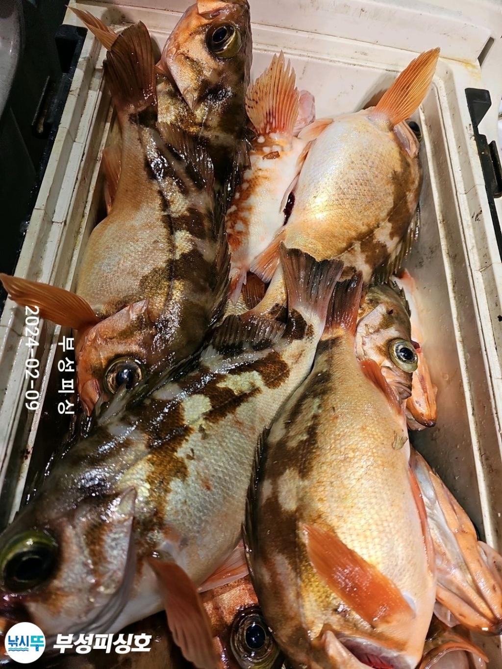 F2605576HS.jpg
