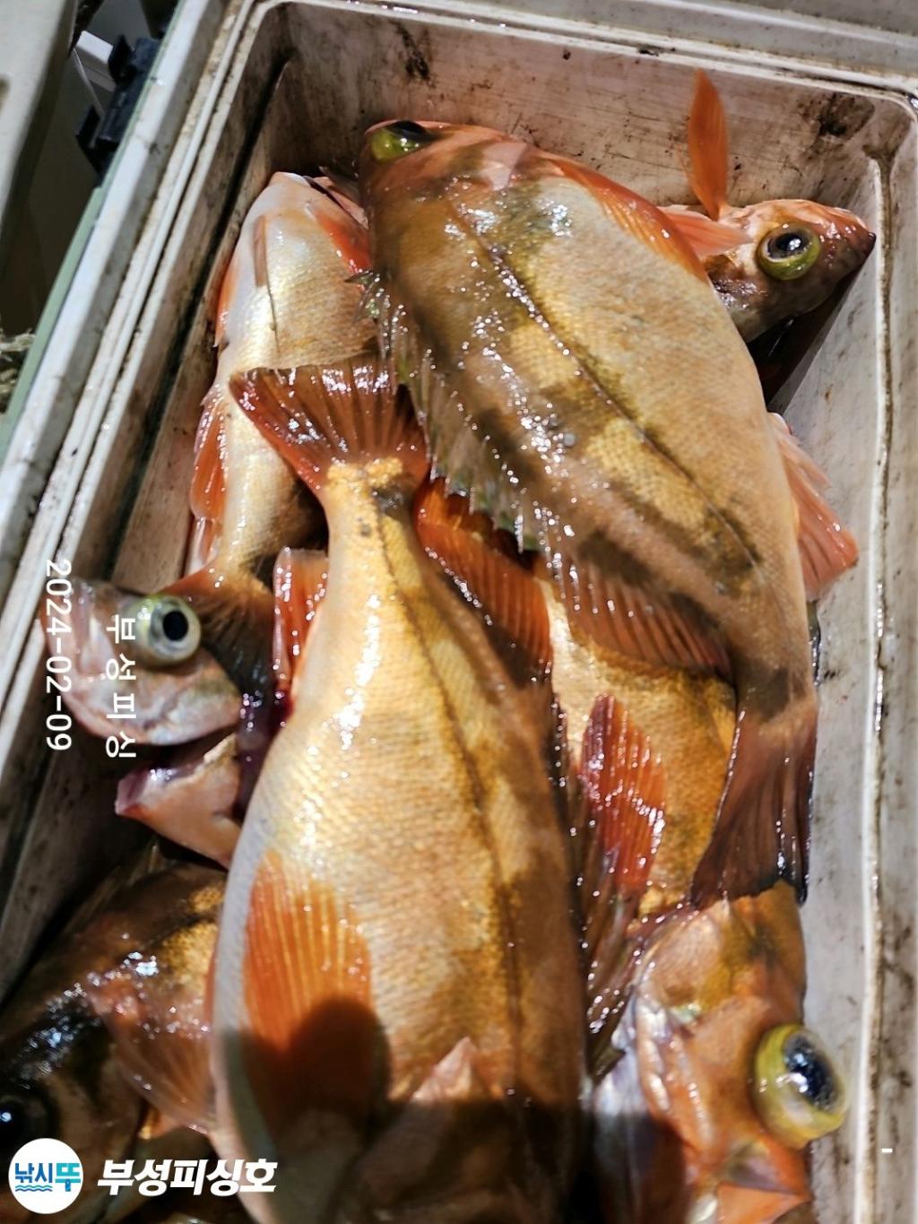 F26055785C.jpg