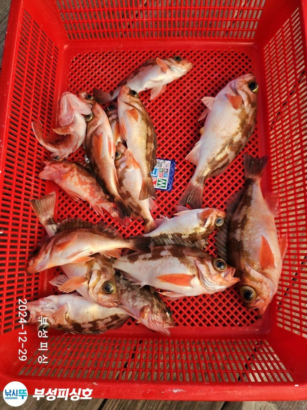 F2605580RX.jpg