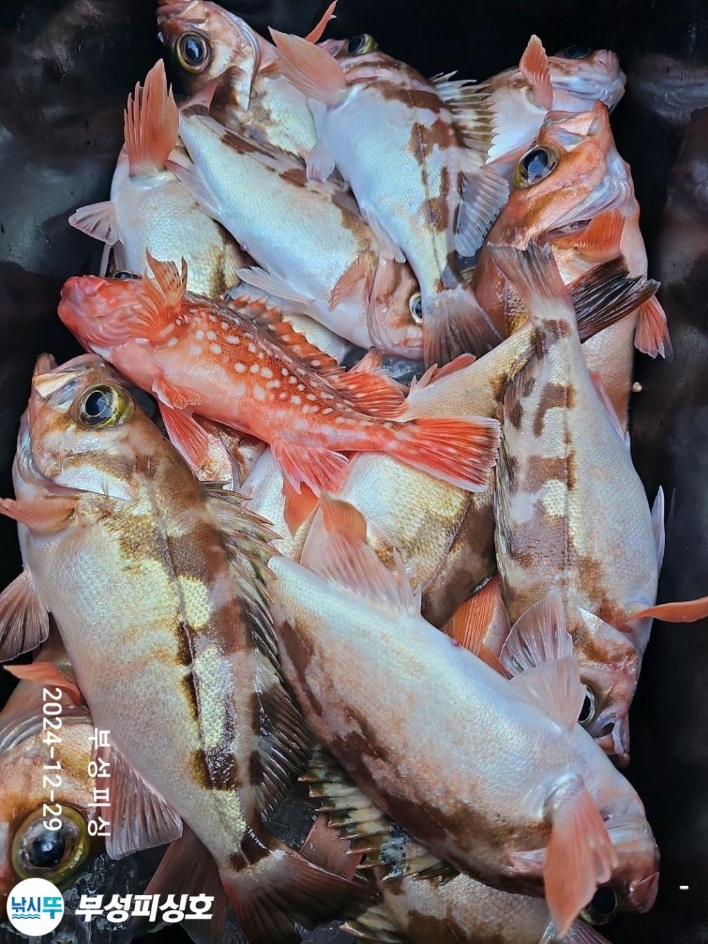 F26055885E.jpg