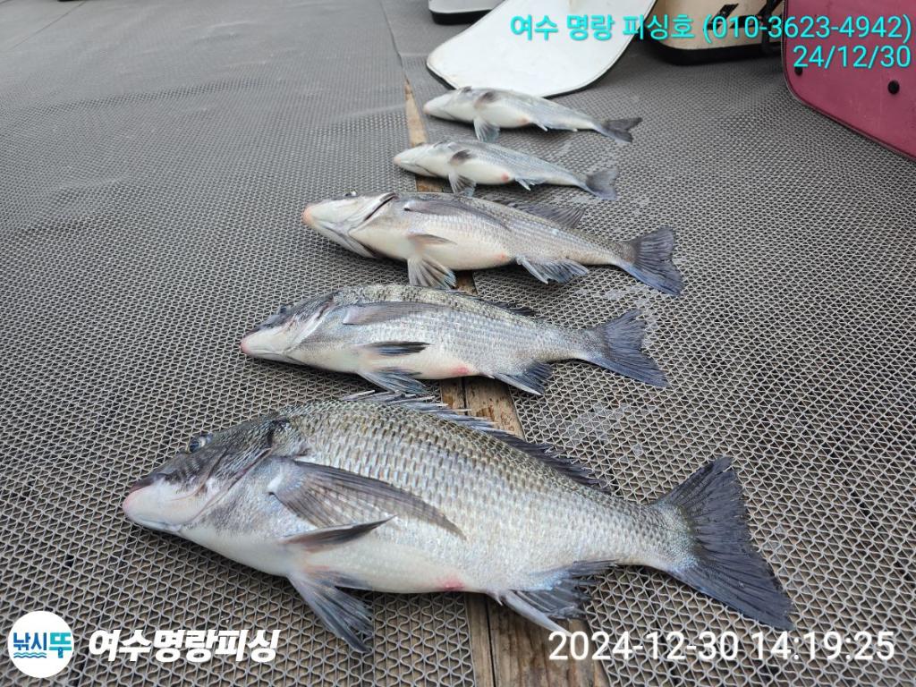 F26061355G.jpg