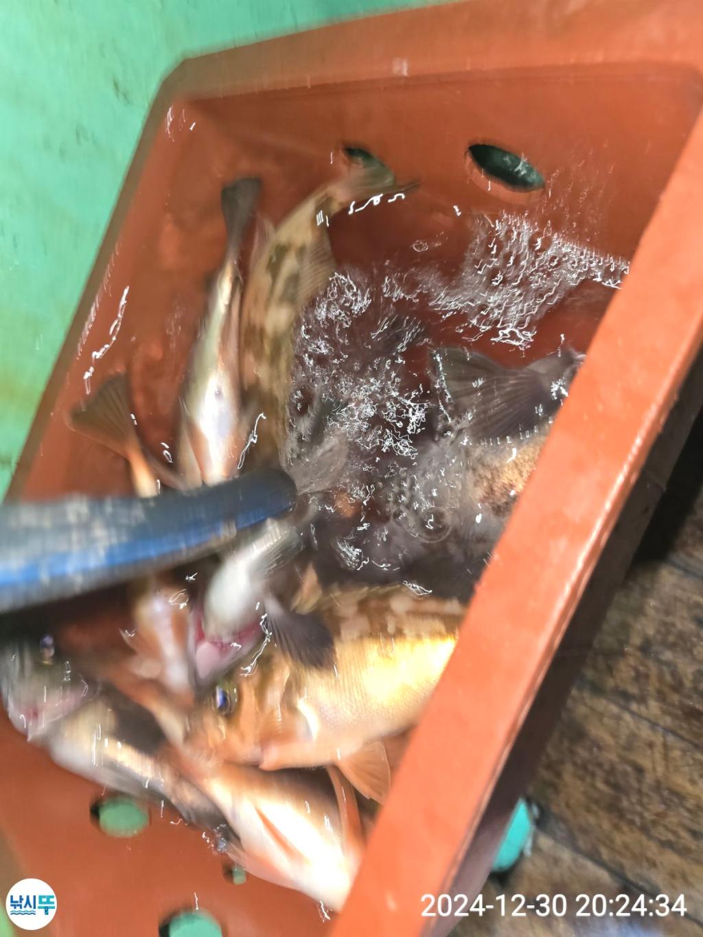 F26061502F.jpg