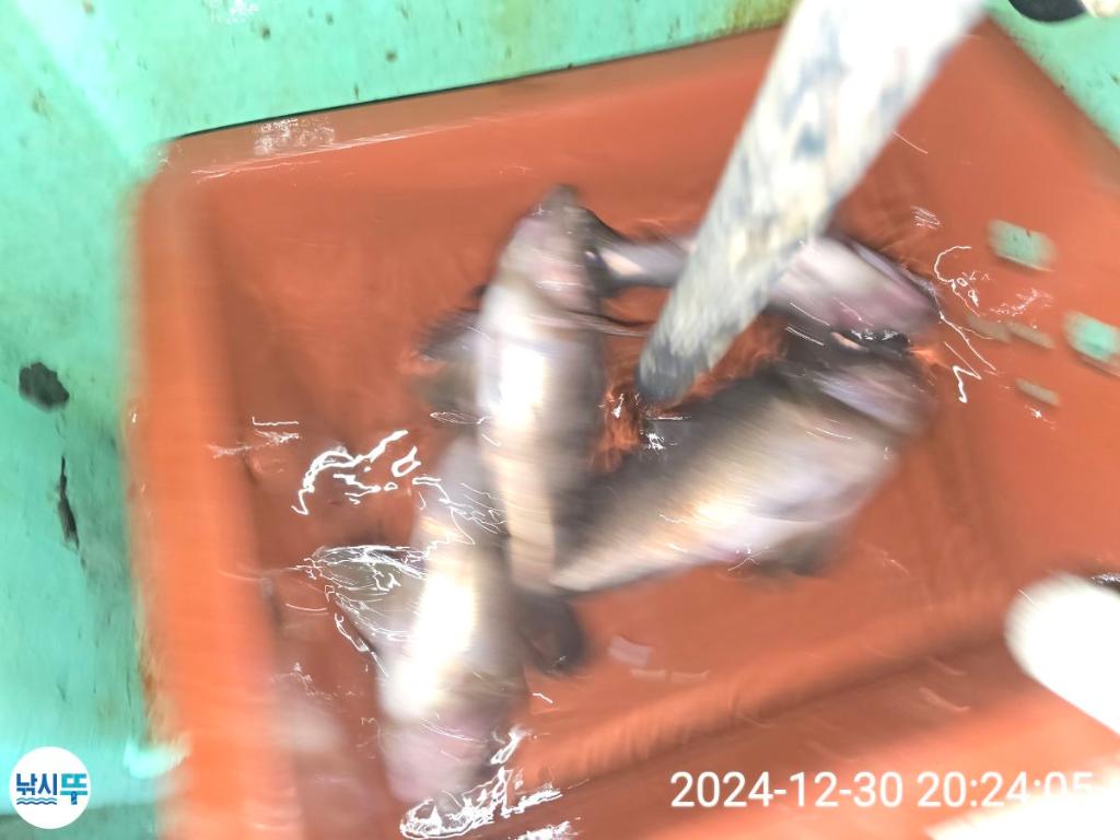 F2606154BR.jpg