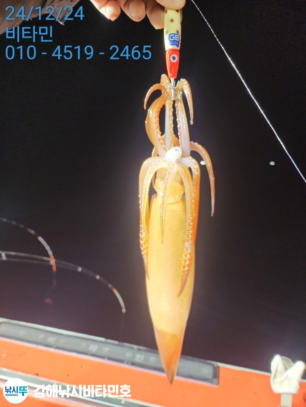 F2606170NT.jpg