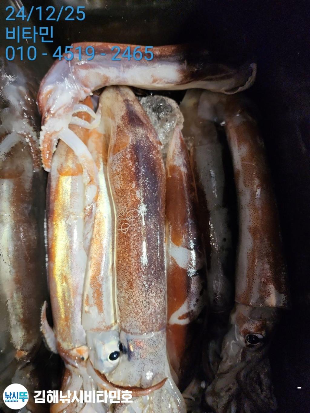 F2606172NA.jpg