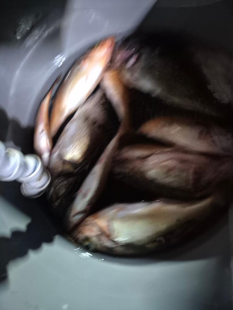 F260630362.jpg