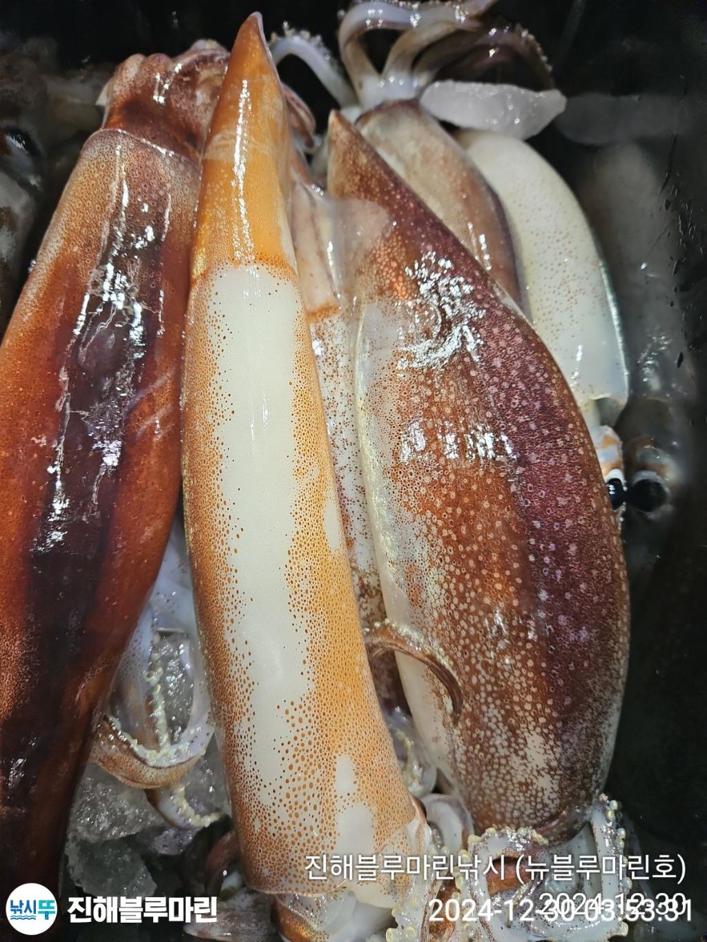 F26063472N.jpg