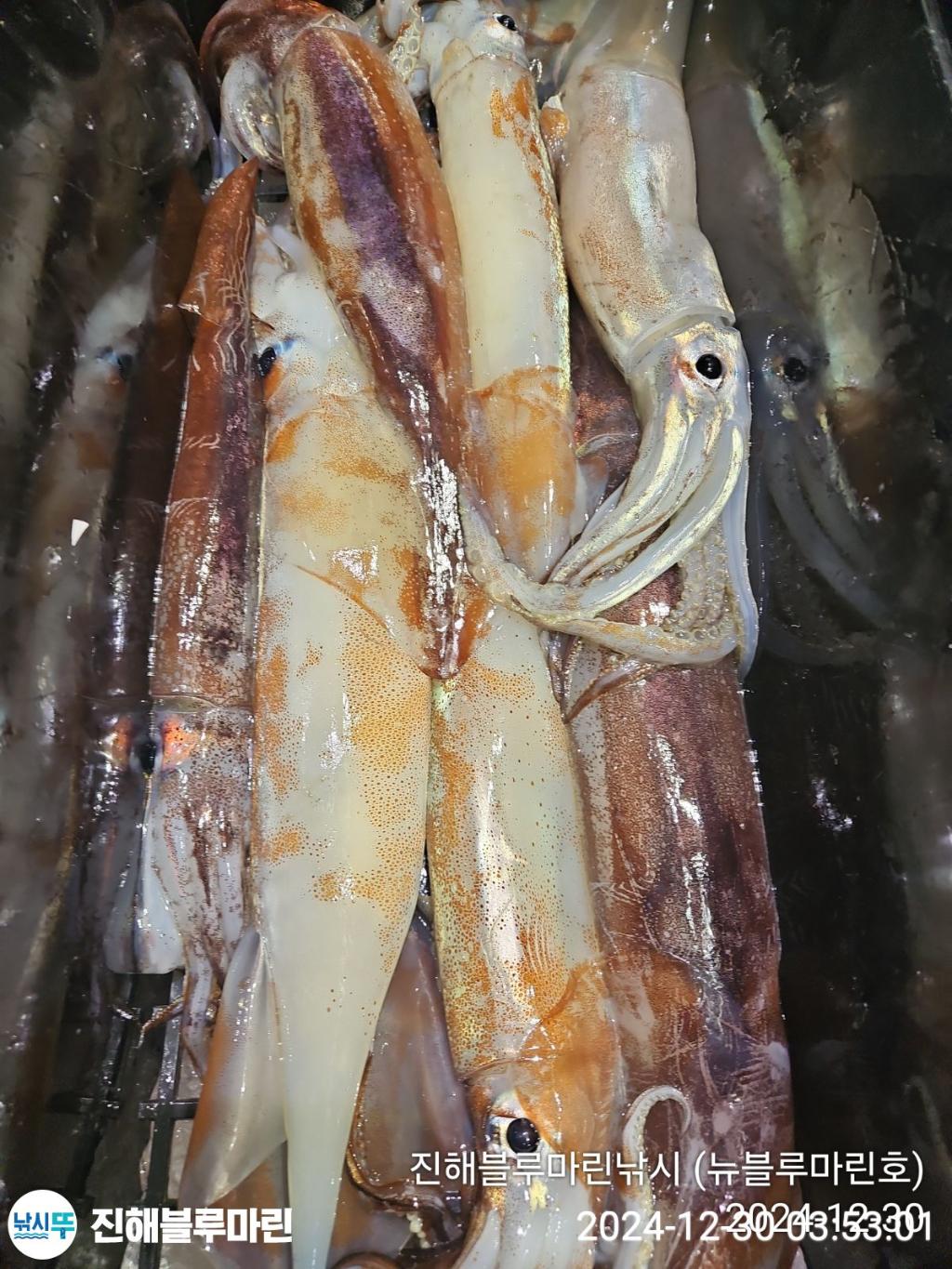 F2606348NF.jpg