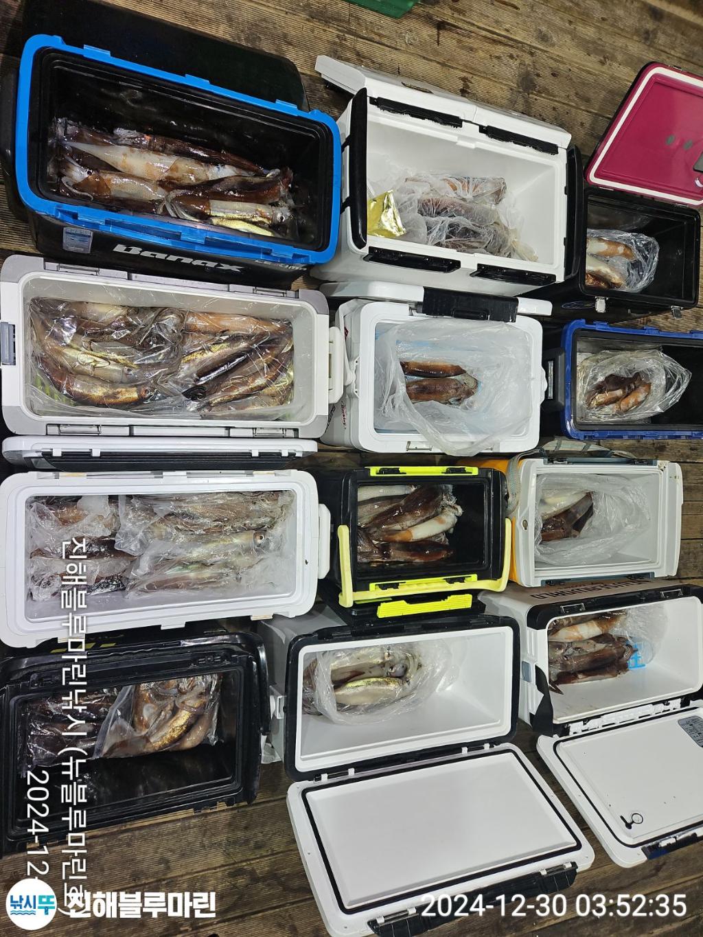 F2606352MO.jpg