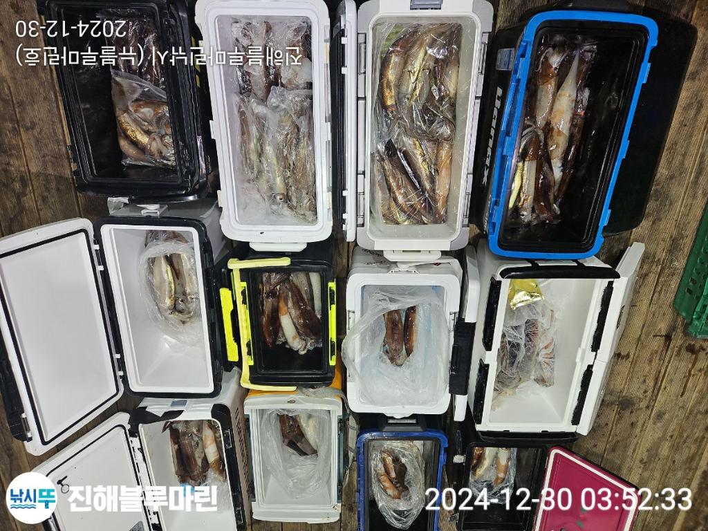 F26063537U.jpg